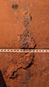 PXL 20260306 101444703