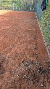 PXL 20260308 130326223