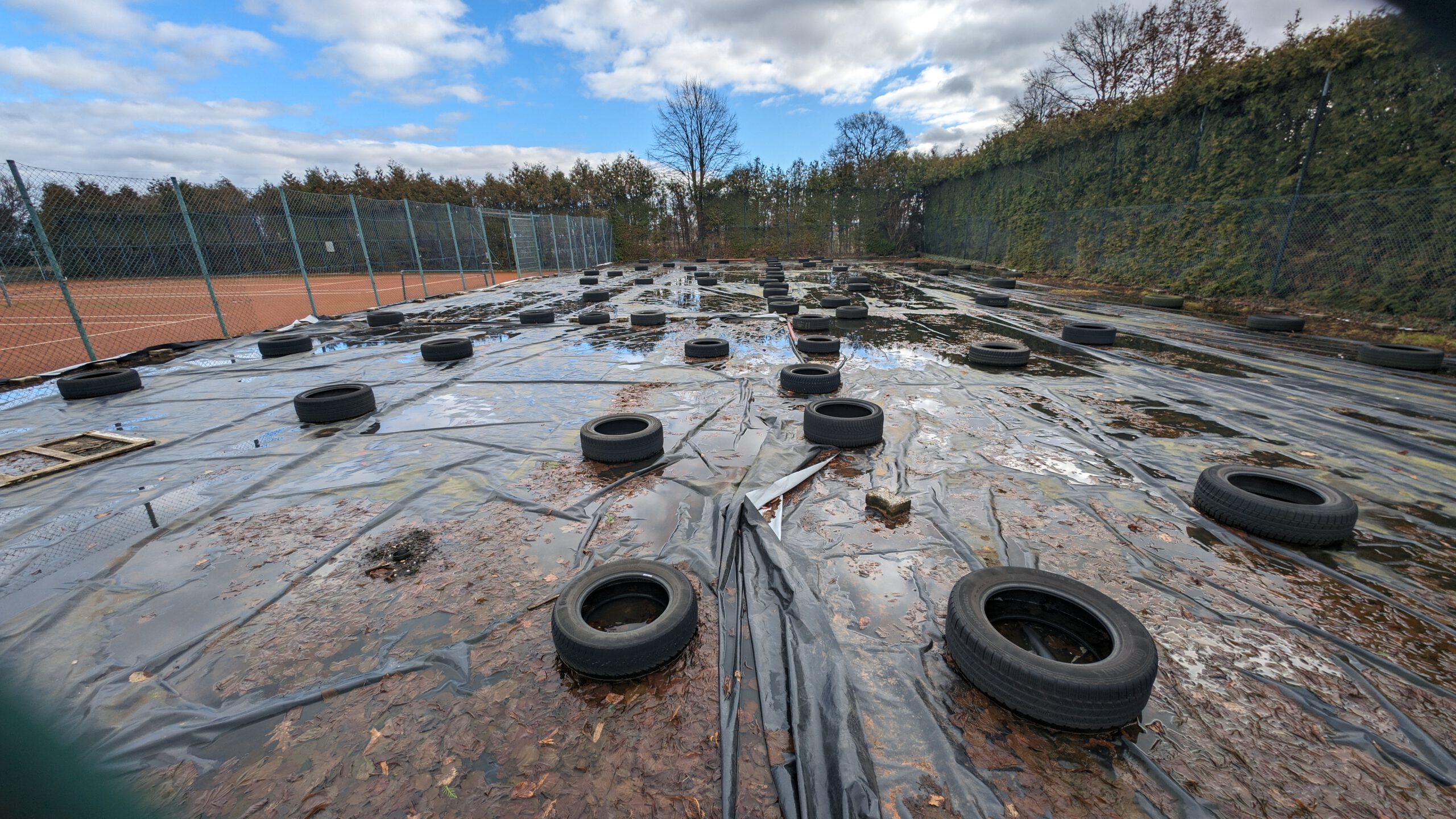 PXL 20240223 105410953 scaled